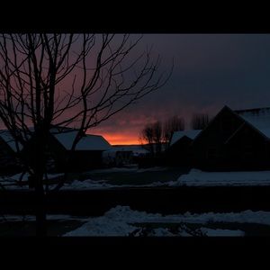 Meet your Posher, Bailey